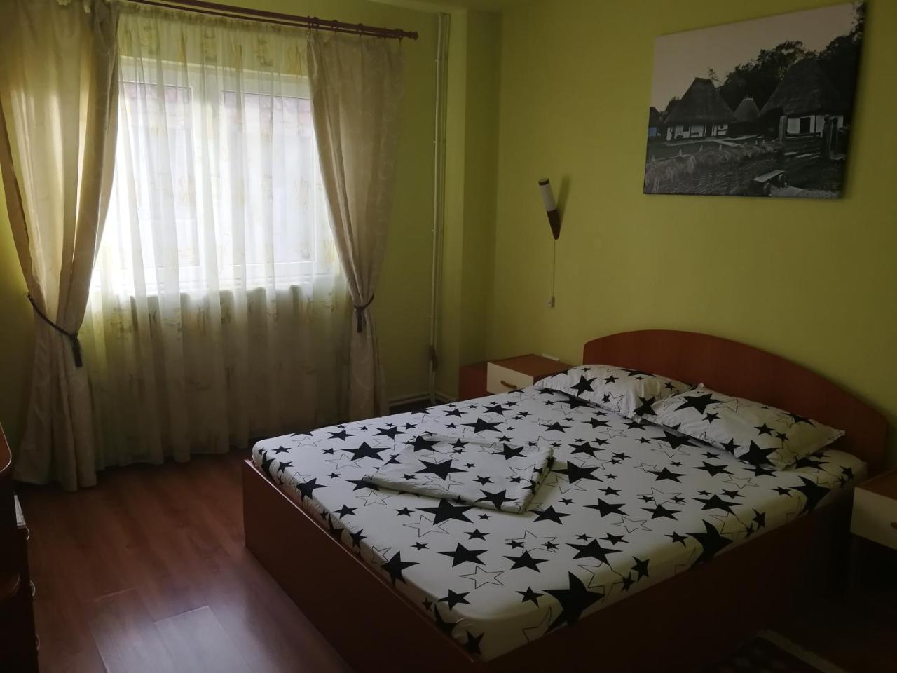 Pensiunea Balea Sat Cîrţişoara Eksteriør billede